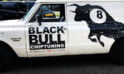 BlackBull on White Suburban