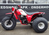 1984 Honda ATC 200x