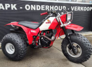 1984 Honda ATC 200x