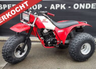 1984 Honda ATC 200x