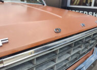 1981 Ford F250