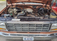 1981 Ford F250