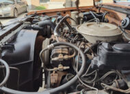 1981 Ford F250