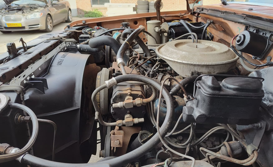 1981 Ford F250