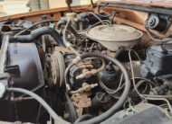 1981 Ford F250