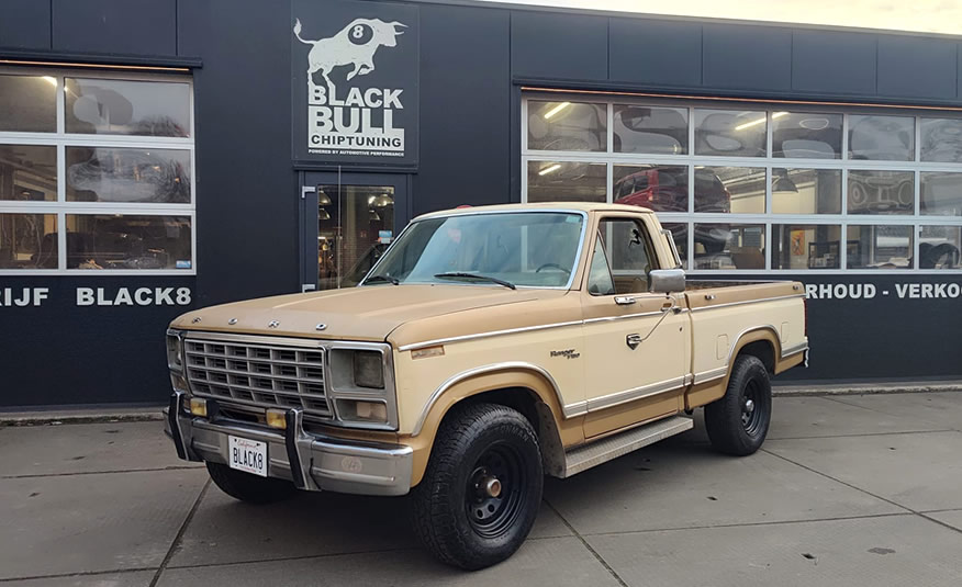 Achterzijde 1980 Ford F150 shortbed V8 USA import