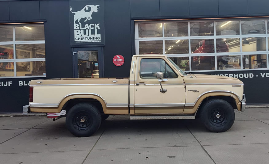Roestvrije dorpels 1980 Ford F150 pickup