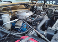 Detail 351 V8 Ford F150 1980